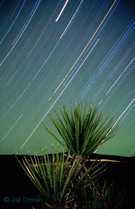 [article_covington_02.jpg]