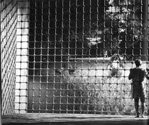 [incredible_shrinking_man.jpg]