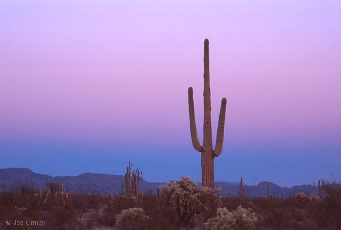 [atmospheric_060317_32.jpg]