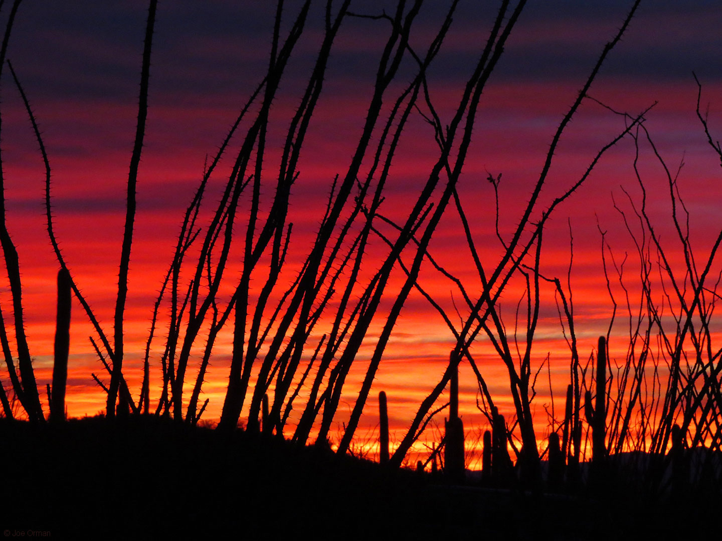 [atmospheric_161227_6979.jpg]