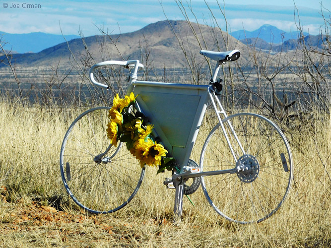 [B500_DSCN3258_mod.jpg]