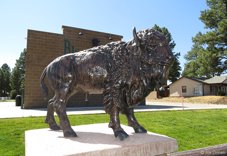 [SX50_IMG_30890.jpg]