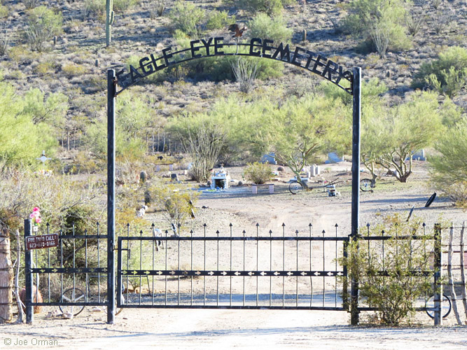 [bizarre_eagleeye2.jpg]