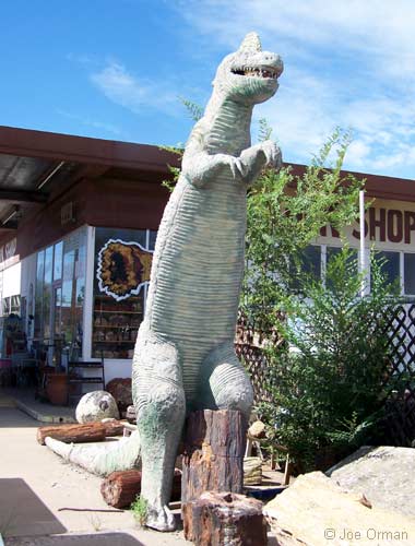 [bizarre_66holbrook_7363.jpg]