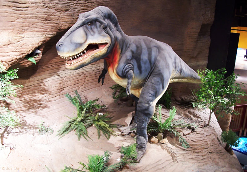 [bizarre_aznaturalhistory100_1497.jpg]