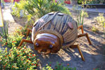 [bizarre_bigbugs_100_3071_s.jpg]