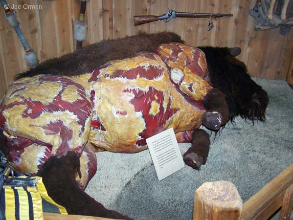 [bizarre_bisonmuseum3.jpg]