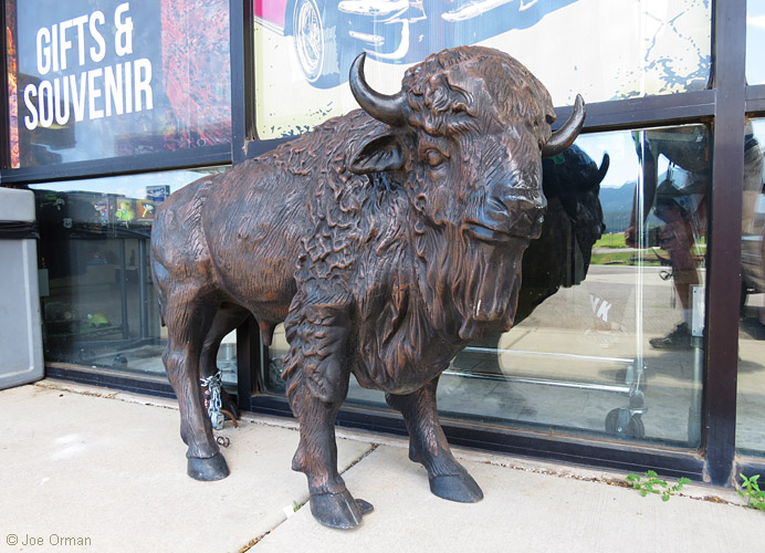[bizarre_buffalostatues37.jpg]