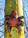 bizarre_califiaIMG_6045_s.jpg