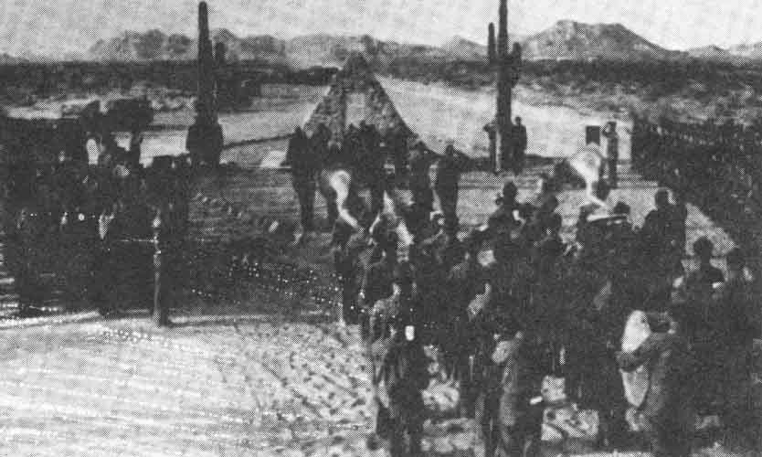 [bizarre_camphorn2.jpg]