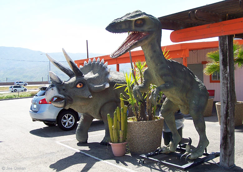 [bizarre_crazycoyotedinosaurs2.jpg]