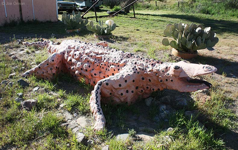 [bizarre_crocogator1.jpg]