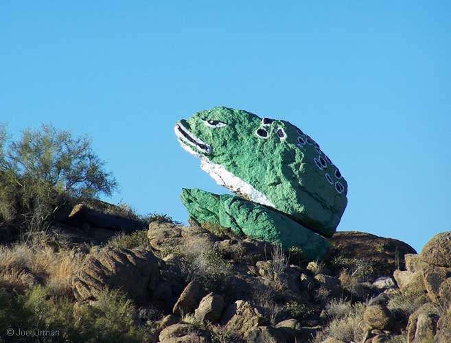 [bizarre_frogrock.jpg]