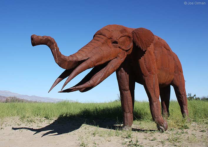 [bizarre_galleta3356.jpg]