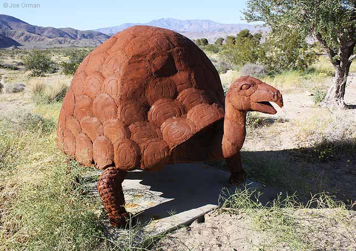 [bizarre_galleta3370.jpg]