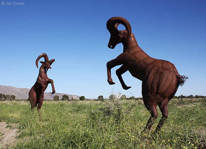 [bizarre_galleta3378.jpg]