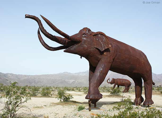 [bizarre_galleta3553.jpg]