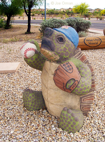 [bizarre_gianttortoises13.jpg]