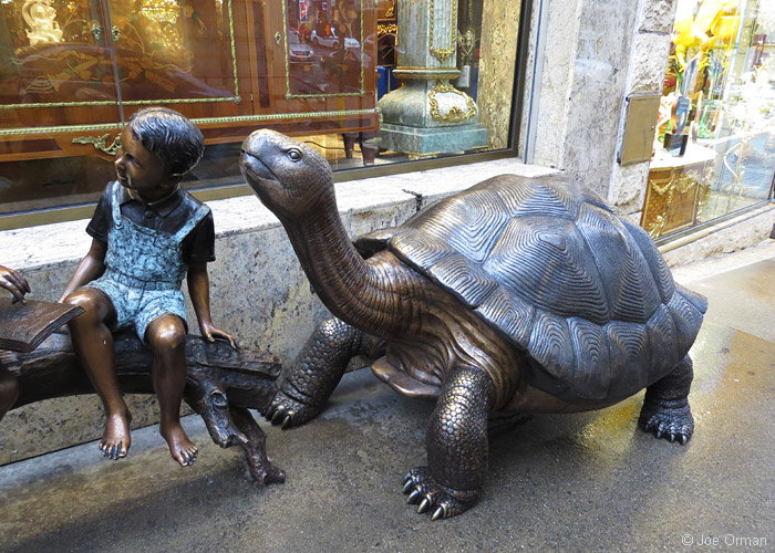 [bizarre_gianttortoises15.jpg]