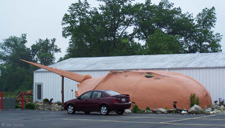 [bizarre_horseshoecrab1.jpg]