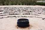 bizarre_labyrinths0218_s.jpg