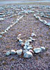 bizarre_labyrinths100_5631_s.jpg