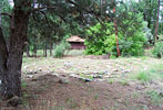 bizarre_labyrinths100_6069_s.jpg