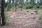 bizarre_labyrinths100_6072_s.jpg