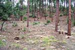 bizarre_labyrinths100_6073_s.jpg