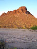 bizarre_labyrinths100_8019_s.jpg