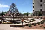 bizarre_labyrinths4569_s.jpg