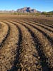bizarre_labyrinthsSX50_7069_s.jpg