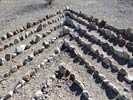 bizarre_labyrinthsSX50_IMG_15816_s.jpg