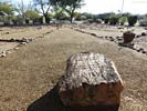 bizarre_labyrinthsSX50_IMG_28105_s.jpg