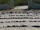 bizarre_labyrinthsSX50_IMG_18128_s.jpg