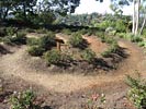 bizarre_labyrinthsSX50_IMG_23456_s.jpg