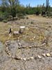 bizarre_labyrinthsSX50_IMG_29022_s.jpg