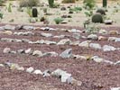 bizarre_labyrinthsSX50_IMG_29462_s.jpg