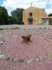 bizarre_labyrinthsSX50_IMG_8589_s.jpg