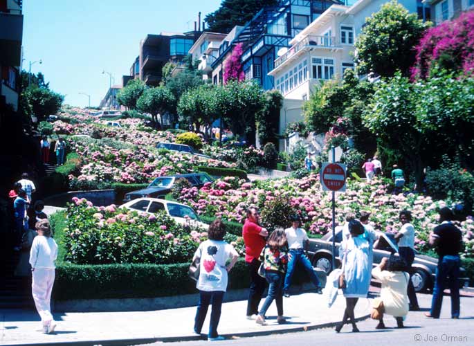 [bizarre_lombard2.jpg]