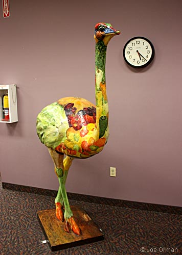 [bizarre_ostriches1.jpg]