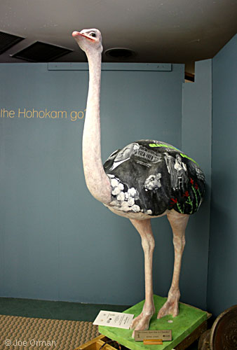 [bizarre_ostriches2.jpg]