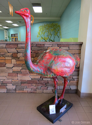 [bizarre_ostriches6.jpg]