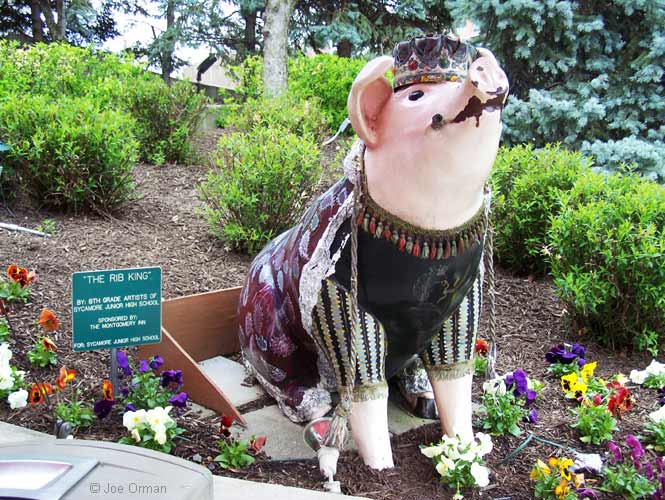 [bizarre_pigs5.jpg]