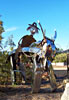 bizarre_scrapmetal100_1352_s.jpg