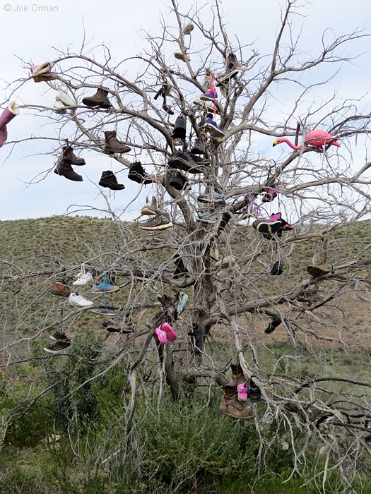 [bizarre_shoetrees1.jpg]