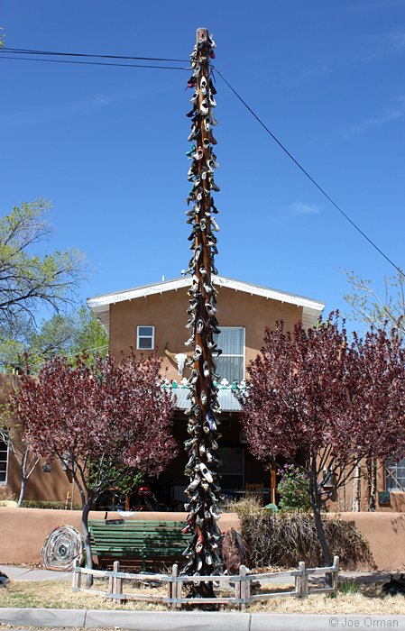 [bizarre_shoetrees3a.jpg]