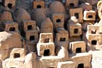 bizarre_sunnyslopeIMG_6592_s.jpg