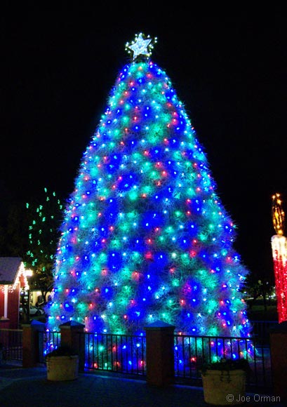 [bizarre_tumbleweed2.jpg]