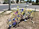 bizarre_ghostbikeiPhone15_IMG_14731_s.jpg